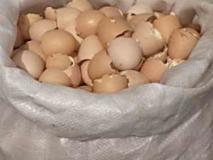 Яичная скорлупа как удобрение, советы по ее сбору и использованию