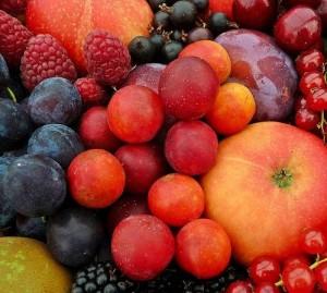 Уборка яблок, груш, смородины и крыжовника. Хранение яблок