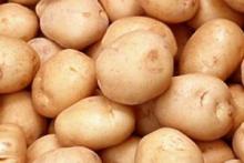 Выращиваем ранний картофель